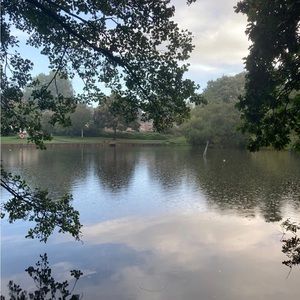 Meet your Posher, Fannie